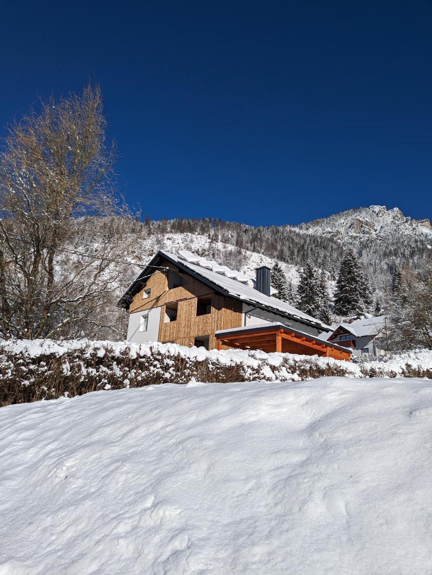 Apartments Triglav Mojstrana Buitenkant foto